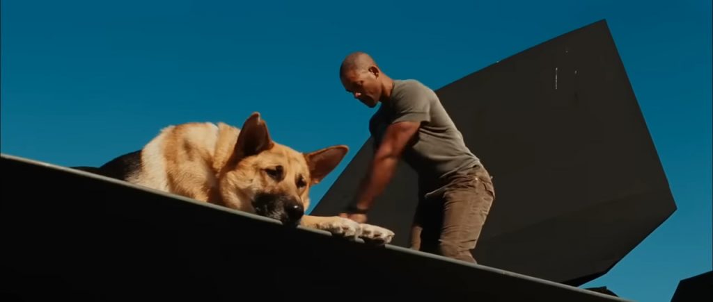 A screenshot from horror movie I Am Legend (2007)
