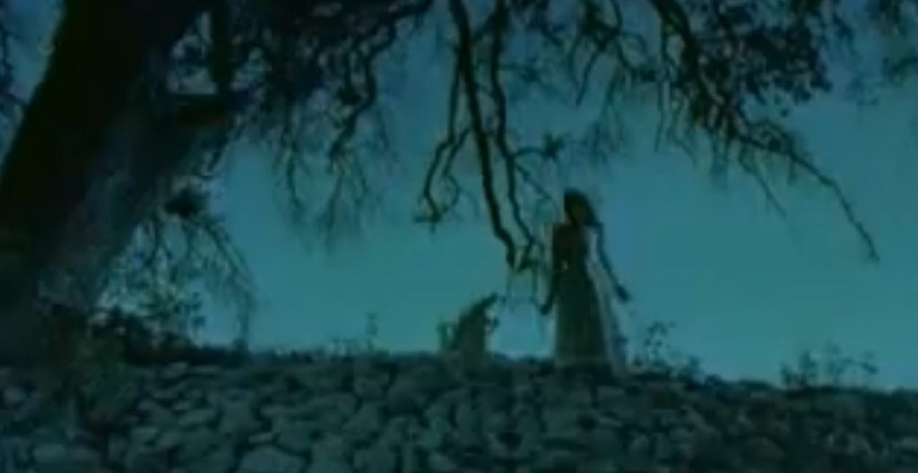 A screenshot from folk horror movie Las Lloronas (2004)