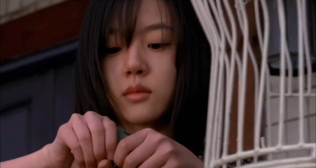 A screenshot from South Korean horror movie A Tale of Two Sister (2003)