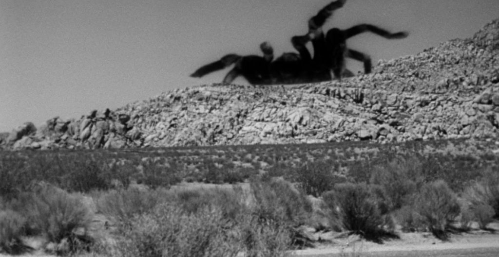 A screenshot from American movie Tarantula (1955)